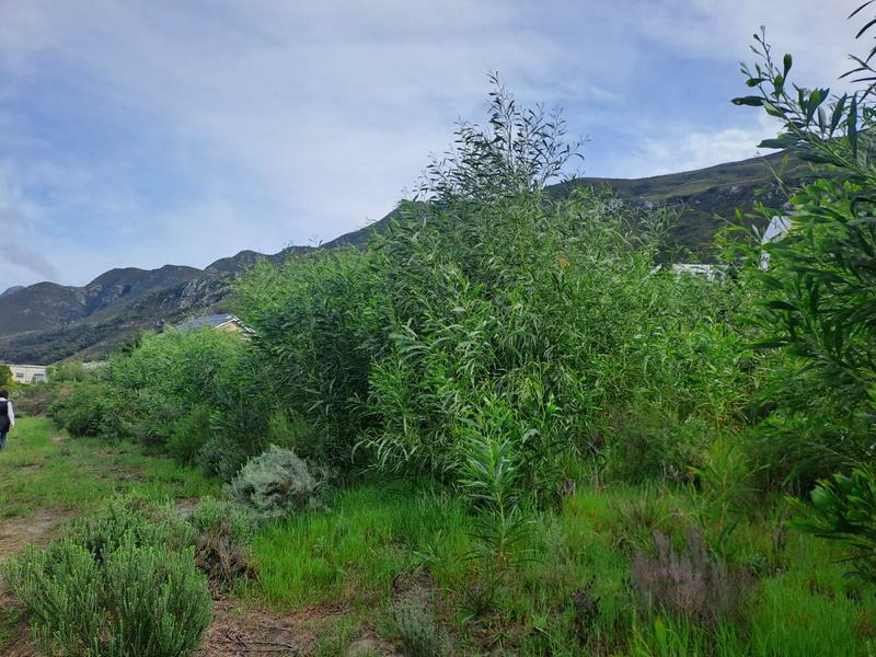 0 Bedroom Property for Sale in Chanteclair Western Cape